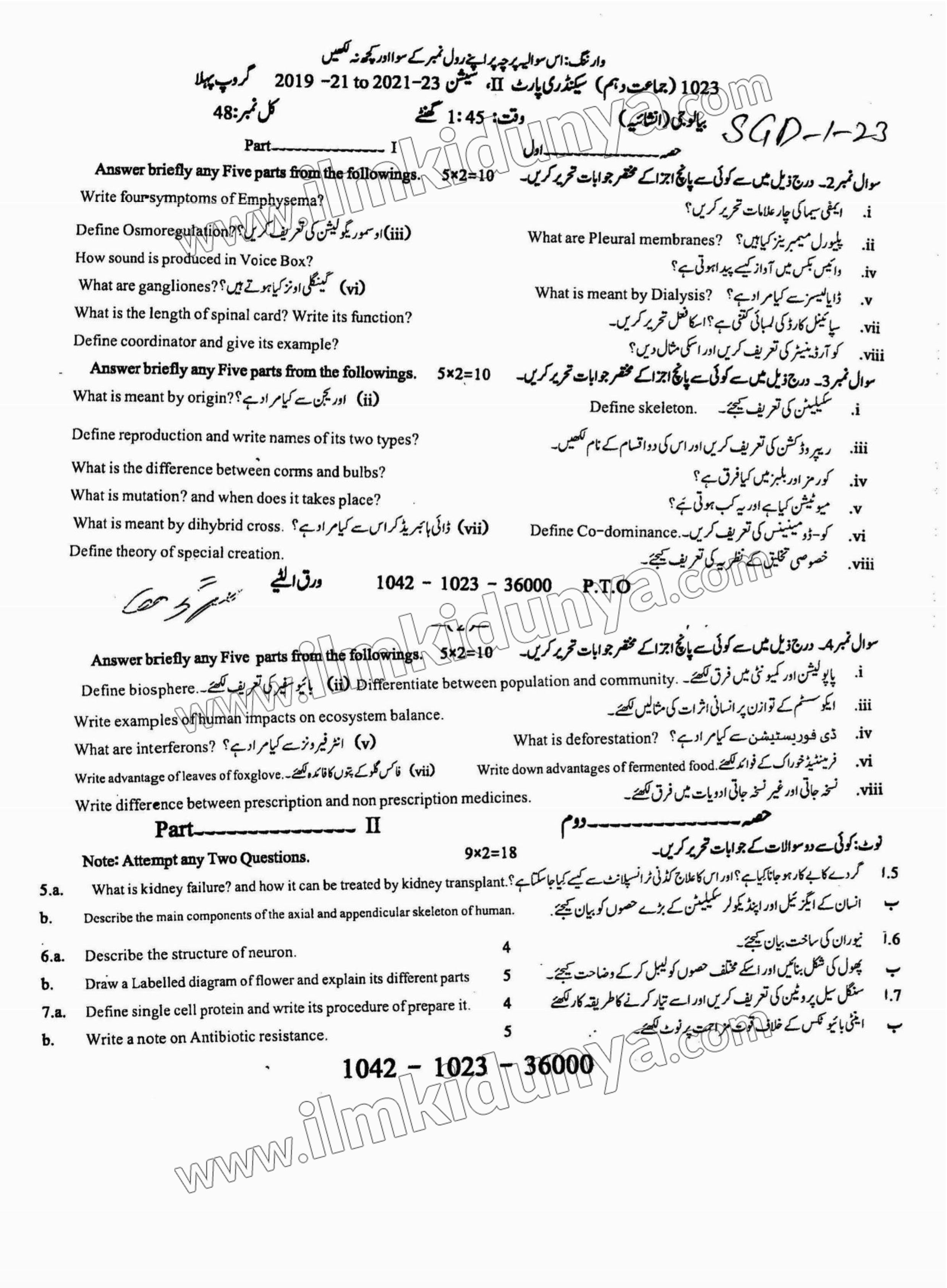 Paper Image